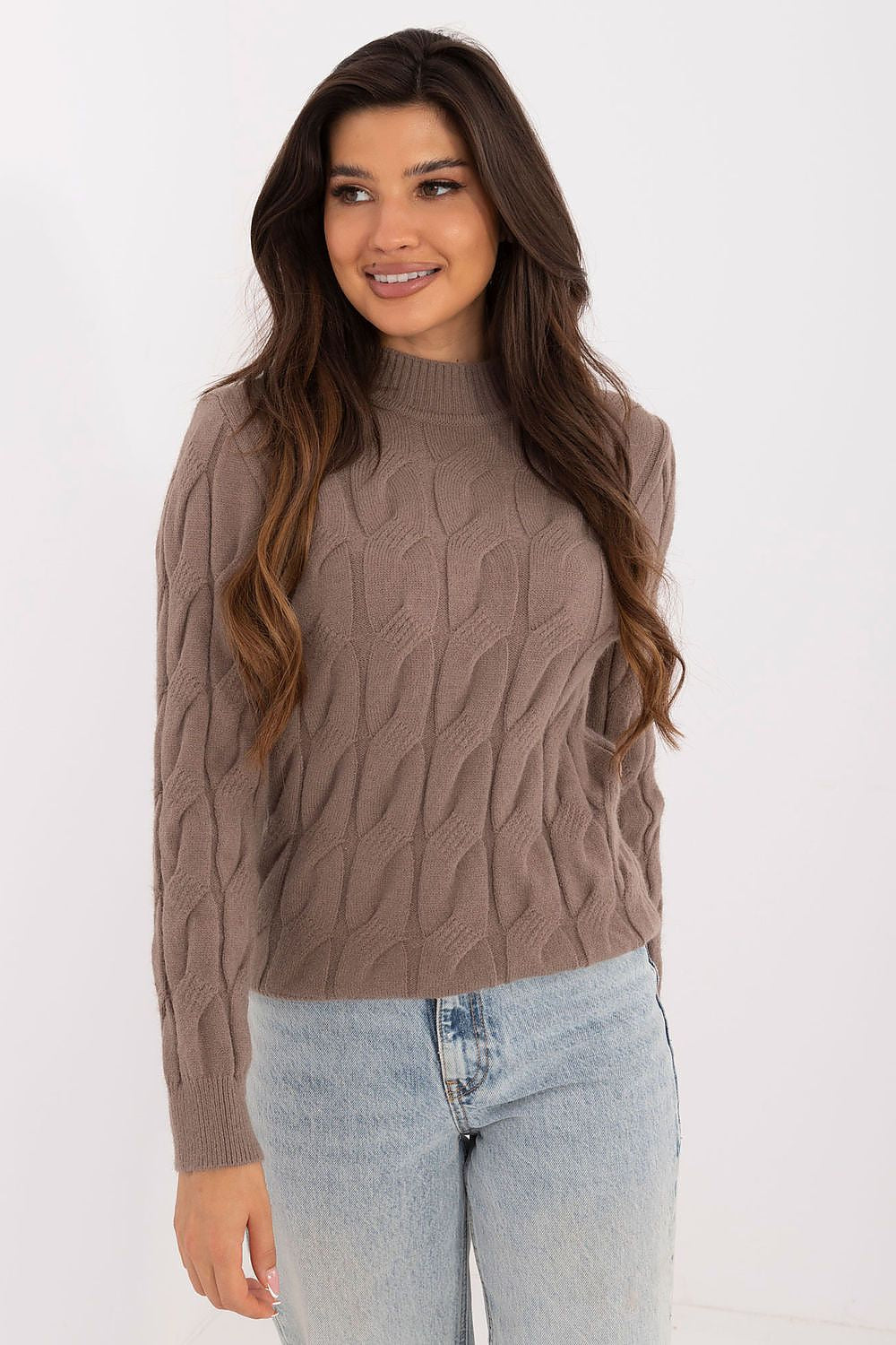 Jumper model 208273 AT