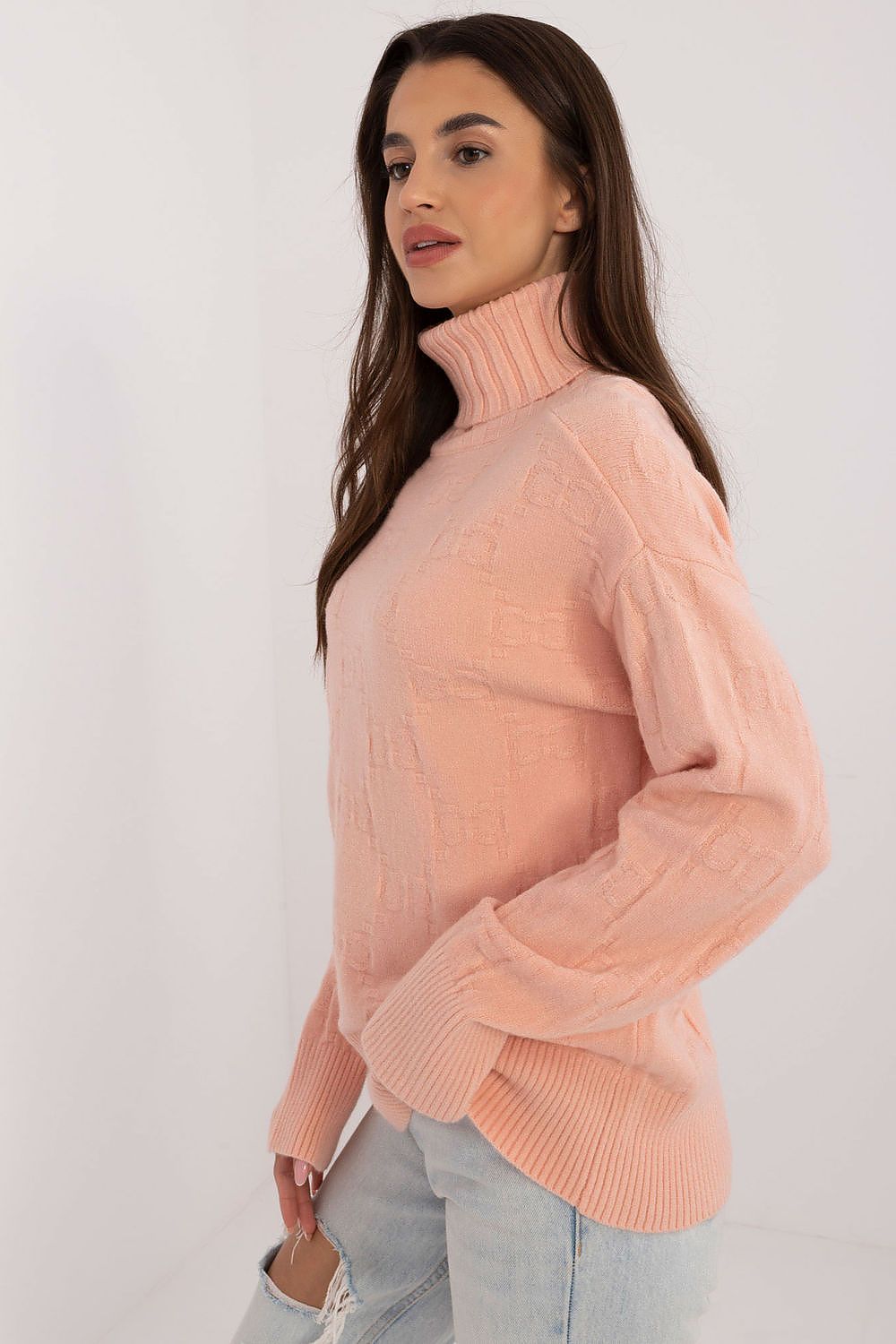 Turtleneck model 208280 AT